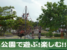 公園情報