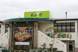 だいこんの花 美里店