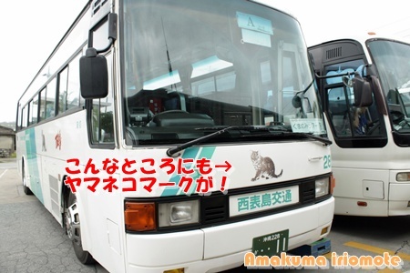 西表島交通  (路線バス)