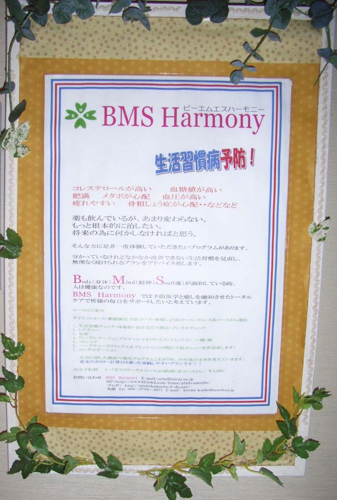BMS Harmony