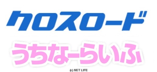 DNwebサポート株式会社
