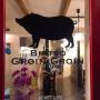 Bistro Groin Groin